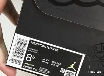 DV1309-100 Jordan Low Concord 1 SE 0419